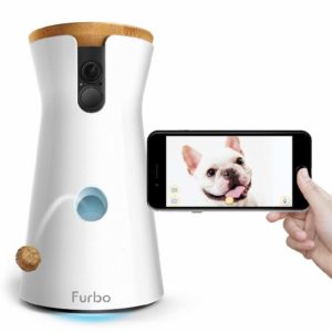 cámara para de perro