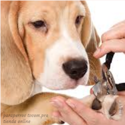 Corta uñas para perros