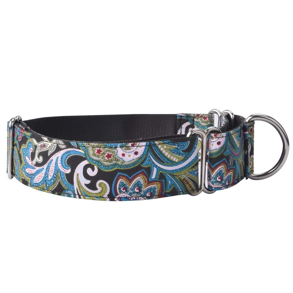 collares y correas para perros martingale resistente nailon tipo garra